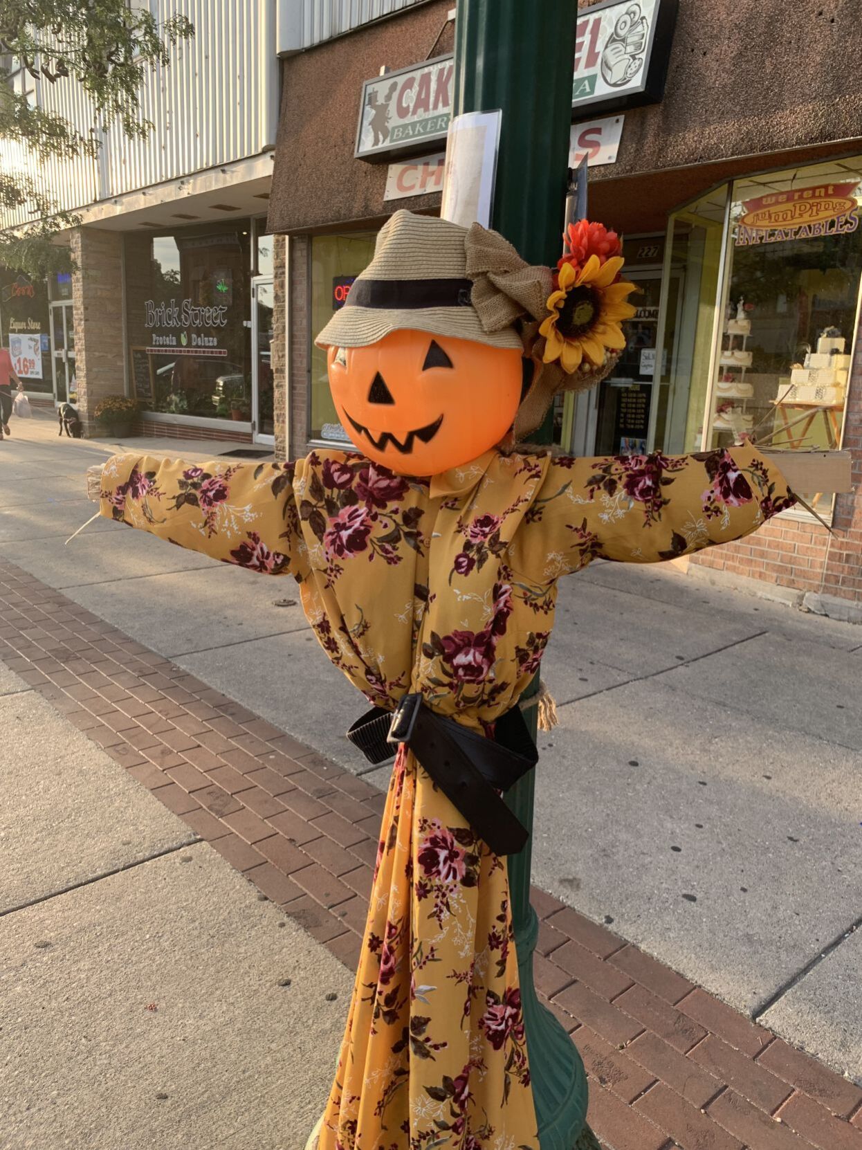 Ellie Sparkles, Delavan Connect Communities